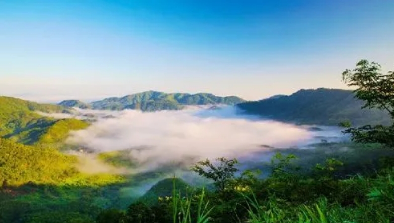 海南云外國際實業有限公司委托我司開發海外平臺